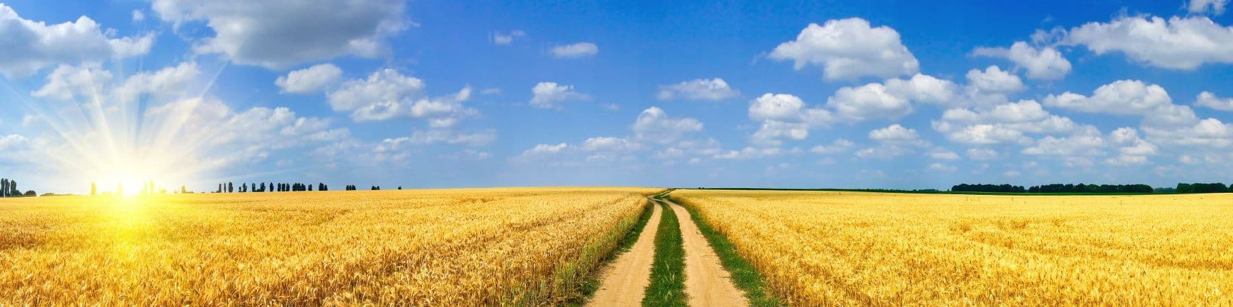 Edirne Akgünler Peynircilik